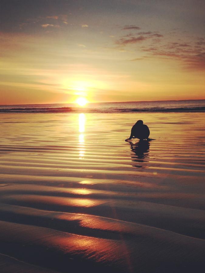 Seascape Accommodation Kaka Point Bagian luar foto